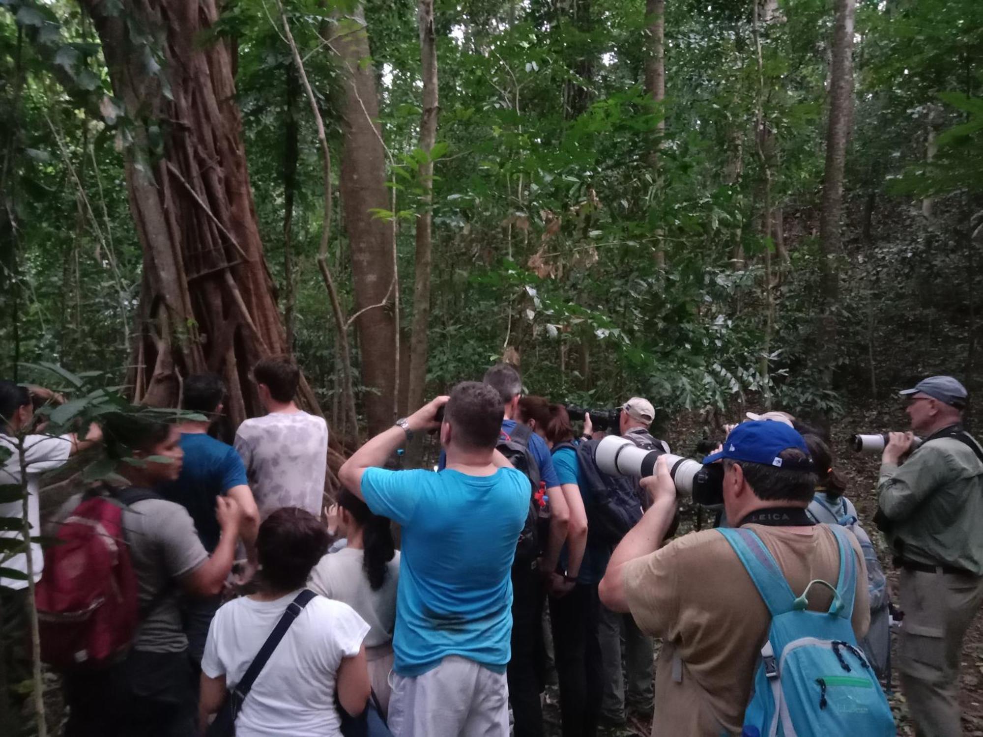 Tangkoko Backpacker Home Stay Rinondoran Eksteriør billede