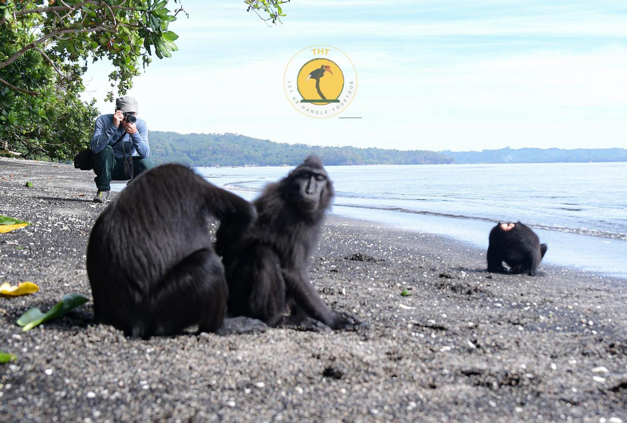 Tangkoko Backpacker Home Stay Rinondoran Eksteriør billede